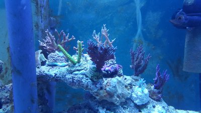 20180124_182446_resized.jpg