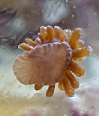 20151010_204805.jpg