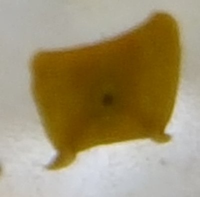 20151010_205418.jpg