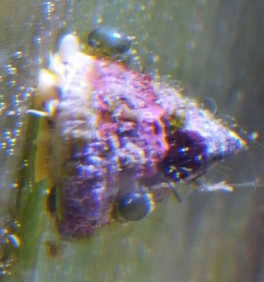 20151010_205541.jpg