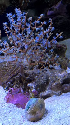 IMG-20150616-WA0007.jpg (177.27 KiB) 15503 mal betrachtet Auch mal ein paar Fotos aus mein Becken