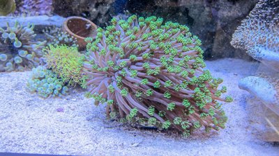 20180228-IMG_1000.jpg