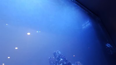 20180307_182507_030.JPG