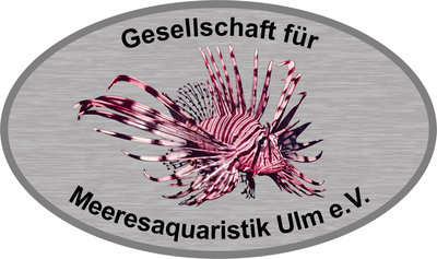 logo_feuerfisch_auf_weiss.jpg