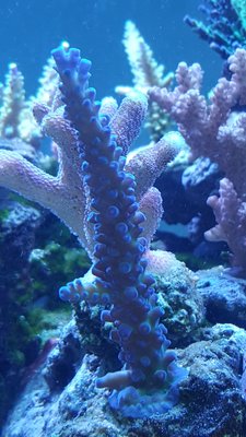 20180607_221616-1195x2124.jpg