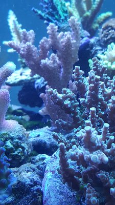20180607_221621(0)-1195x2124.jpg