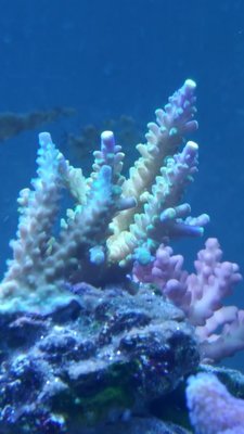20180607_221645-1195x2124.jpg