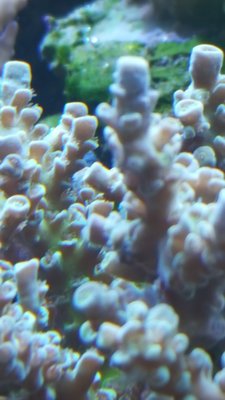 20180723_221014-1195x2124.jpg