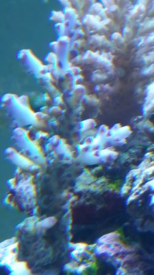 20180723_221026-1195x2124.jpg