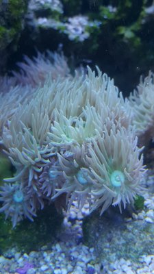 20180723_221217-1195x2124.jpg