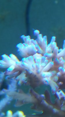 20180723_222150-1195x2124.jpg