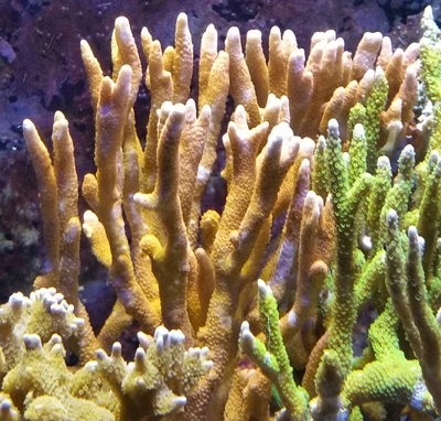 20180815_193203.jpg