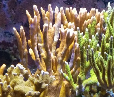 20180815_163617.jpg