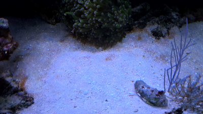 IMG-20151021-WA0001.jpg