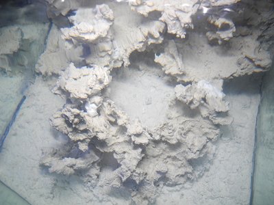 DSCN2356.JPG