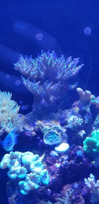 IMG_20190210_242.jpg