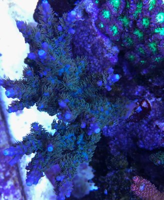 E3544788-B29F-4EC2-9074-F59CEC2601B0.jpeg