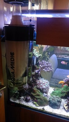 DSC_0176.JPG