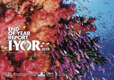 2018-IYOR-REPORT-final-web.jpg