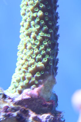 A72A5851_Kopie.jpg