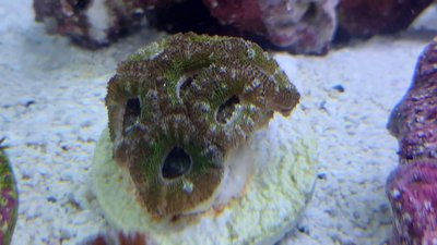 20200911_110239_compress9.jpg