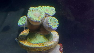 20201003_133005_compress71.jpg