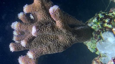 20201003_133023_compress40.jpg