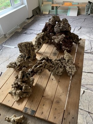 img_0678.jpg