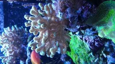 20151112_101331.jpg