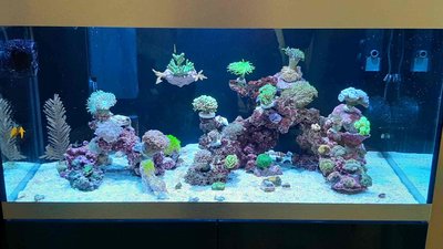 20210401_161135_compress41.jpg