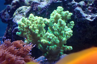 PB090213.jpg