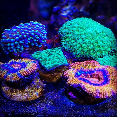 3ABBFF11-E7BA-4569-B75E-3DEDEAFAB8C5.jpg