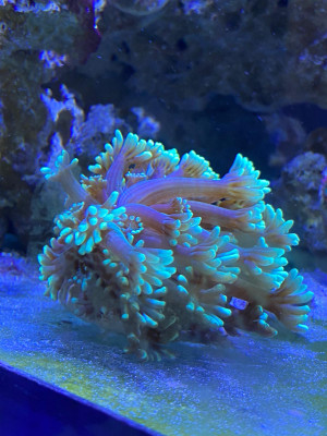 E60E7F4E-CA39-49C0-91F2-27DC40C7B3A7.jpeg