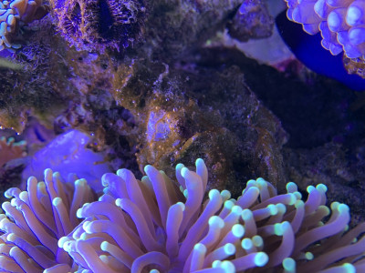 21A23F17-C3C3-4F04-A31A-52D5A62B8753.jpeg