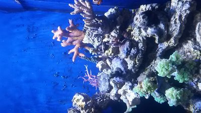 20151122_183059.jpg