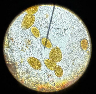 224D8812-E6A1-4C16-91C9-0B63B5F278E7.jpeg