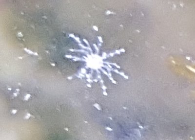 20151201_195925.jpg