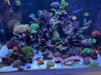 Aquarium.jpg