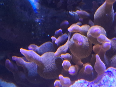 20250904_161733.jpg