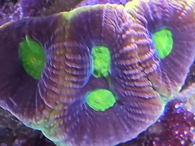 20250904_161830.jpg