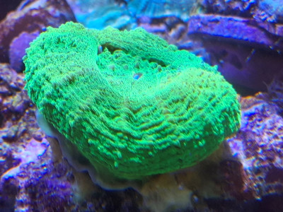 20250904_161854.jpg