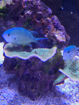 IMG_20260703_084156_002.jpg