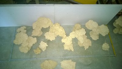 WP_20150801_005.jpg
