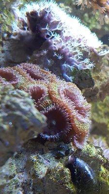 IMG-20151212-WA0006.jpg