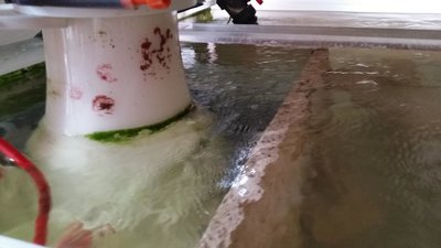 20151213_110014.JPG