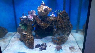 2015-07-05_12-09-19_835.jpg