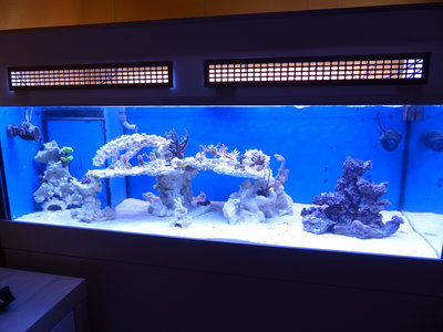 P1000277.JPG