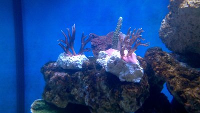 2015-07-05_12-09-44_789.jpg
