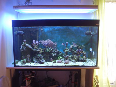 PC220001.JPG