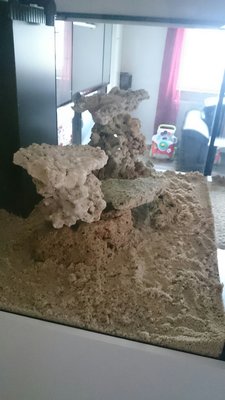 DSC_0003.jpg